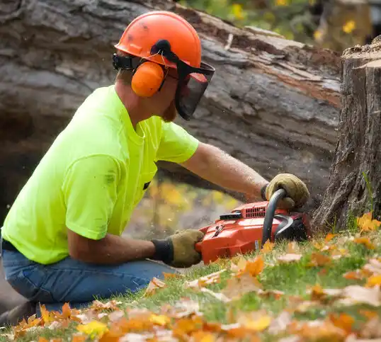 tree services Amherst